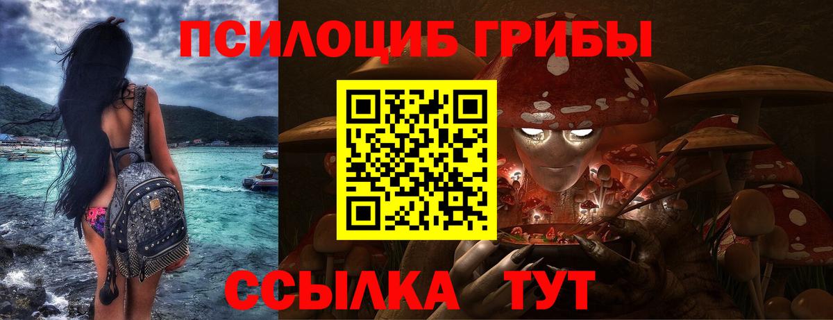 Псилоцибиновые грибы GOLDEN TEACHER  Галлюциногенные грибы Psilocybe  Вход с VPN  Советская Гавань 
